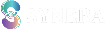 Synera Biz